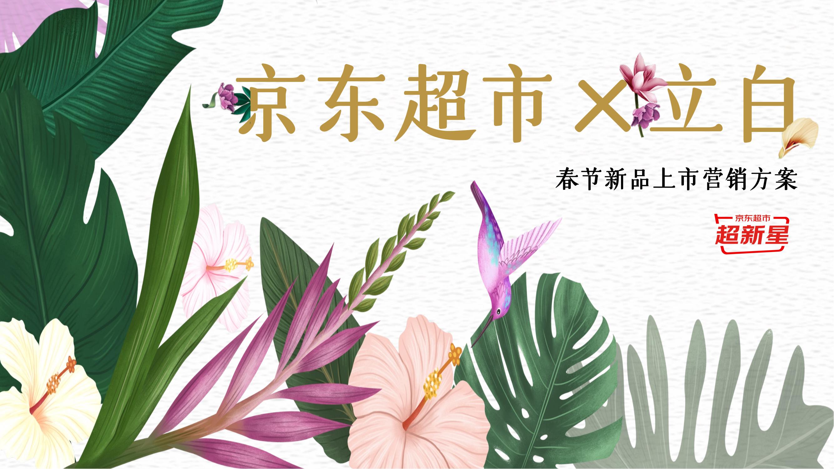 京東超市x立白 春節新品上市營銷方案