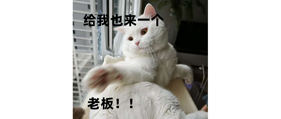 牛马逃不开，迪卡侬睡袋