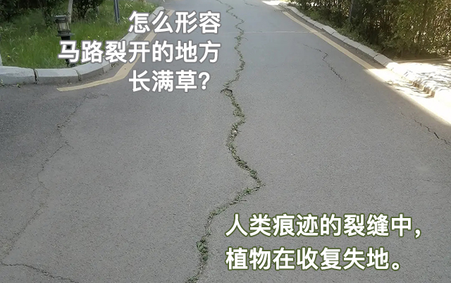 25句民間文案，躲過網絡流行語的侵蝕
