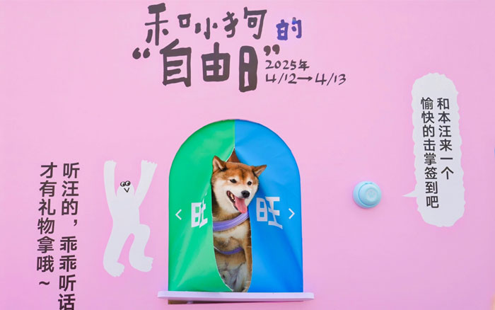 淘寶天貓《小狗的自由日》，一場為小狗舉辦的線下慶典
