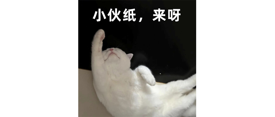 吉利星越L，好大的胆