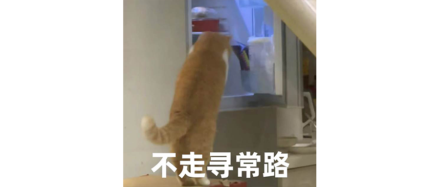 养乐多救了我的红烧肉