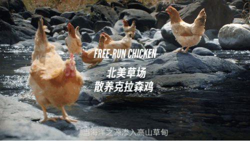 渴望品牌系統煥新：野奢的風還是吹到了寵糧界