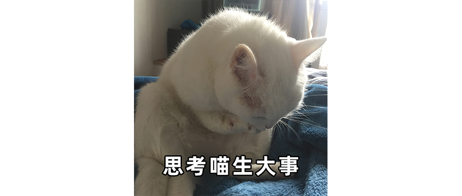 张雪峰最大的用处是背锅