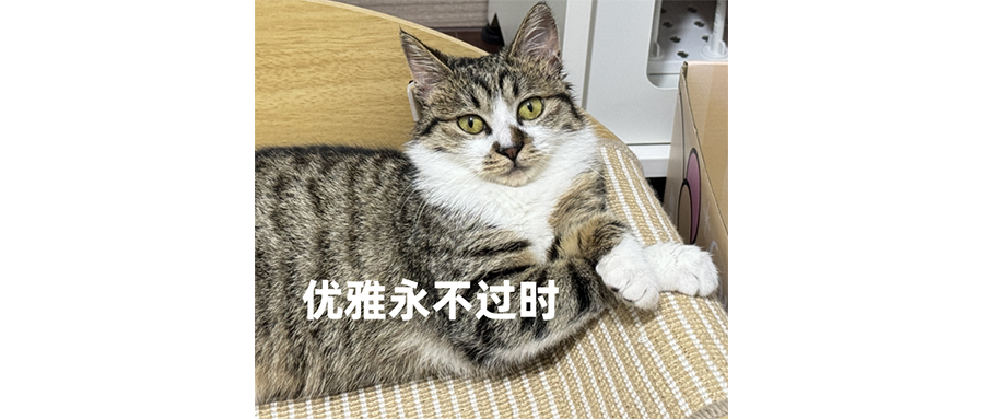 Switch2卖的不好才见鬼