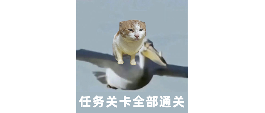 大学学金融？学它有啥用啊。