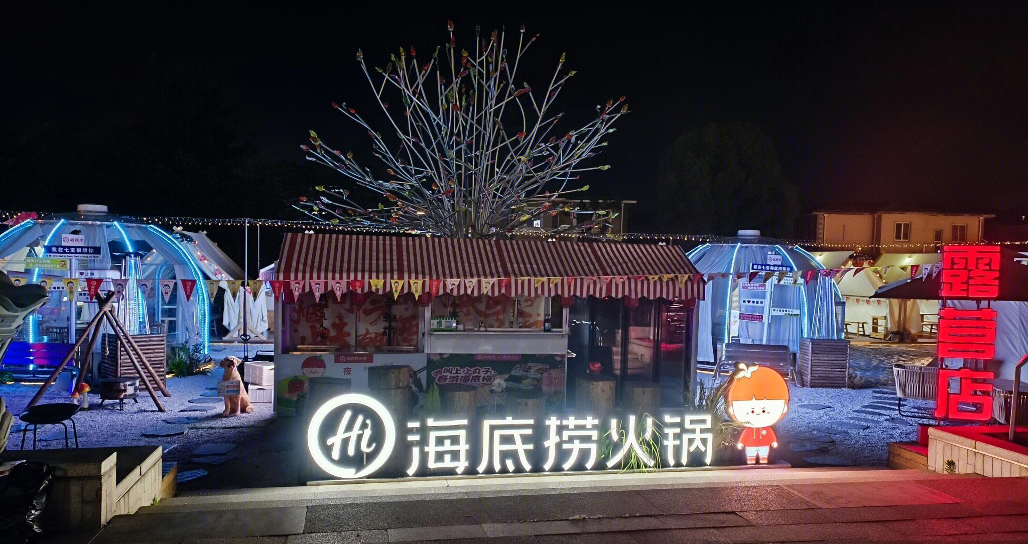 海底撈“降維”求生？