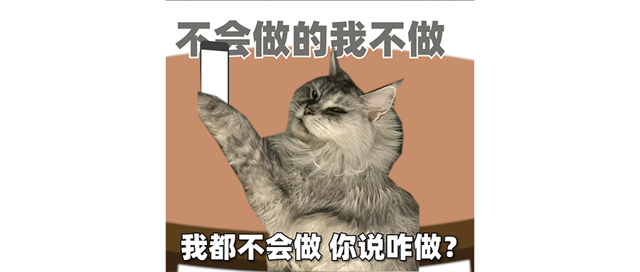 罗马仕充电宝，只能躺好