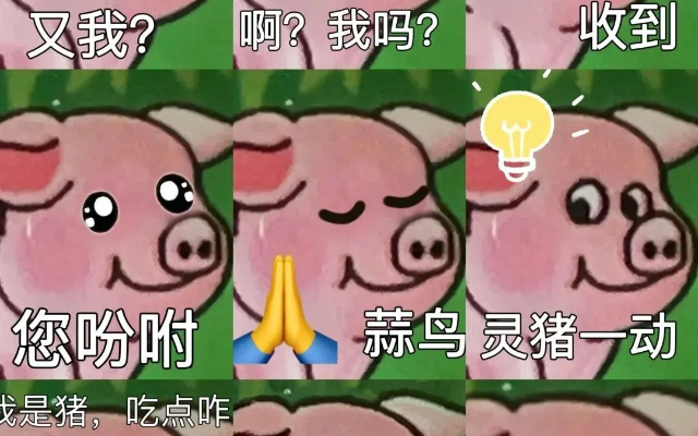 品牌奇怪的出圈方式：双汇靠包装袋上的猪火了....