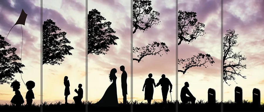 豆包AI，动了族谱