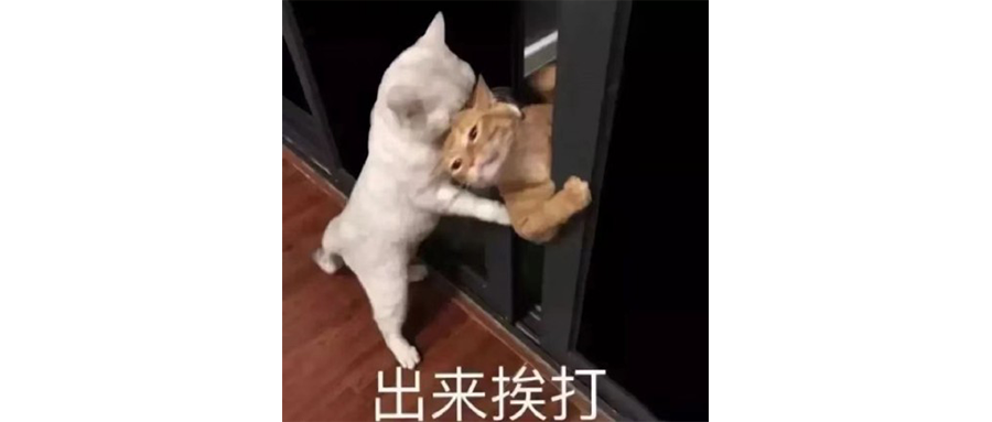 丰田把车型开发交到中国，还是太保守了