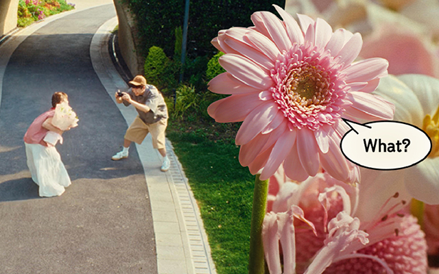 【胜加答案】｜那些为爱情（和项目）花的心思