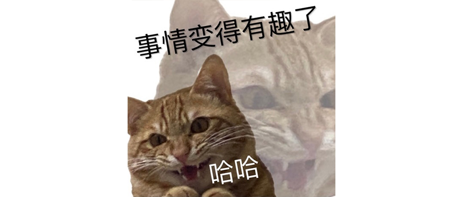 面对小米YU7，特斯拉需要立刻放大