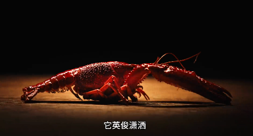 美团现在的广告已经抽象到不知天地为何物了