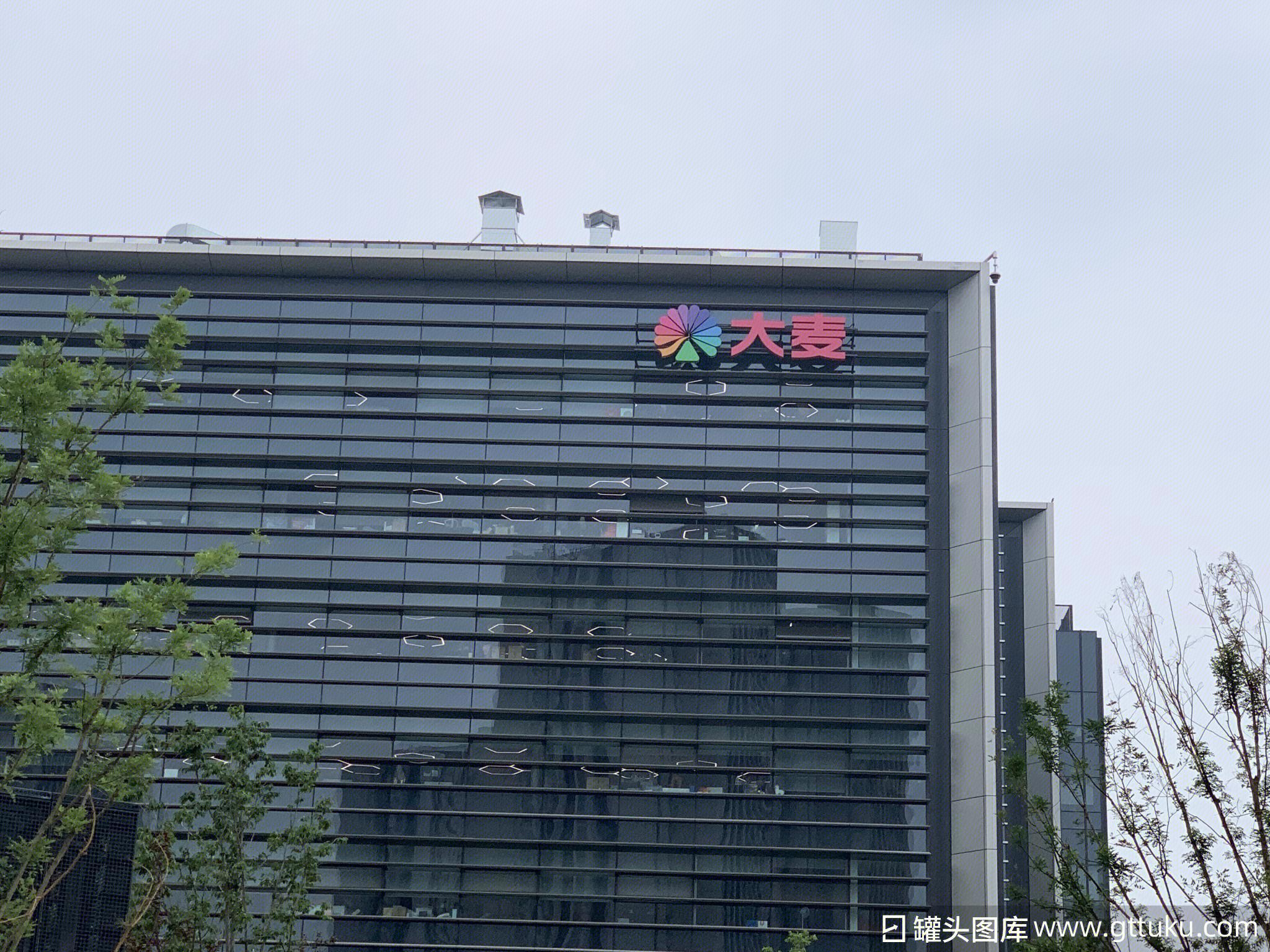 大麦网惹鹿晗粉丝“炸毛”，买张票咋就这么闹心?