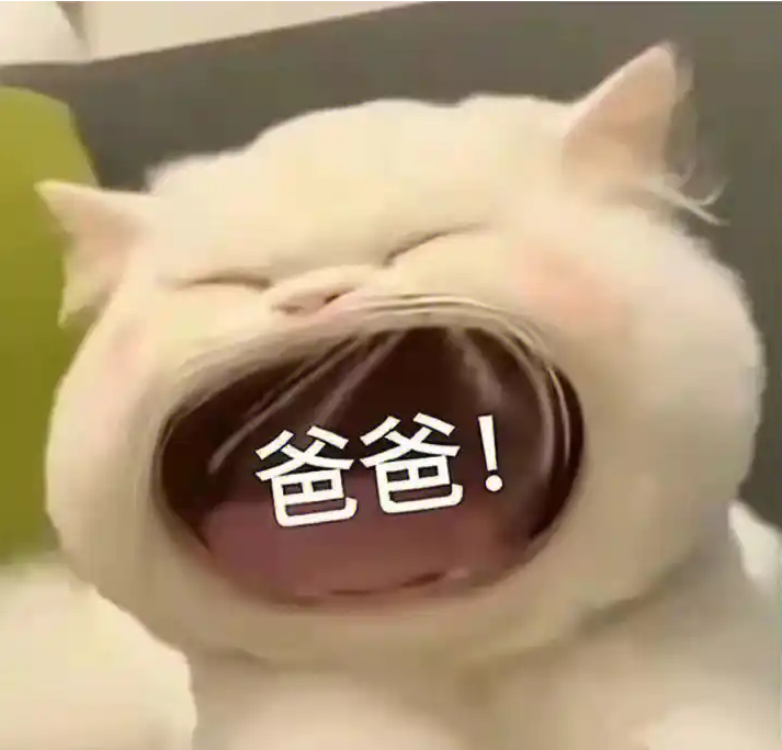 宝贝，永远别忘了：有事找老爸！丨从小事上找到表达