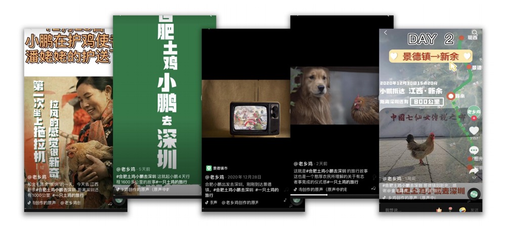 老乡鸡：一只土鸡的旅行