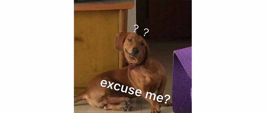 陈思诚的《恶意》，过于天真