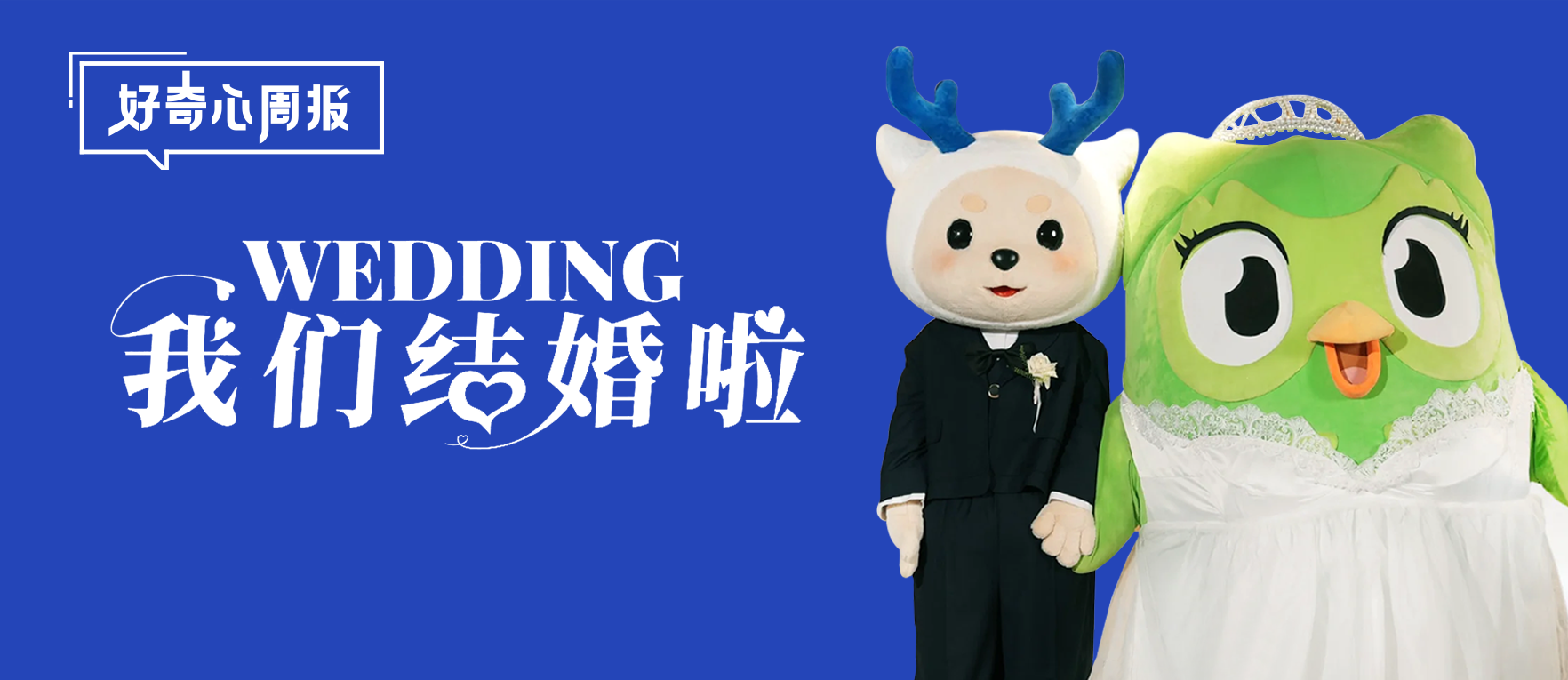 好奇心周报丨“多儿”结婚，品牌狂欢，IP联动正在挖掘长效价值路径