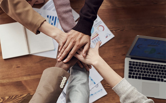 阿里拉飞猪入群：从独立到协同，一场豪赌？