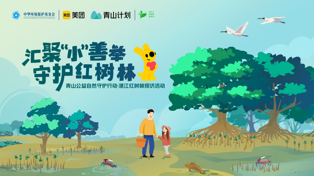 以创意赋能公益，用行动践行责任