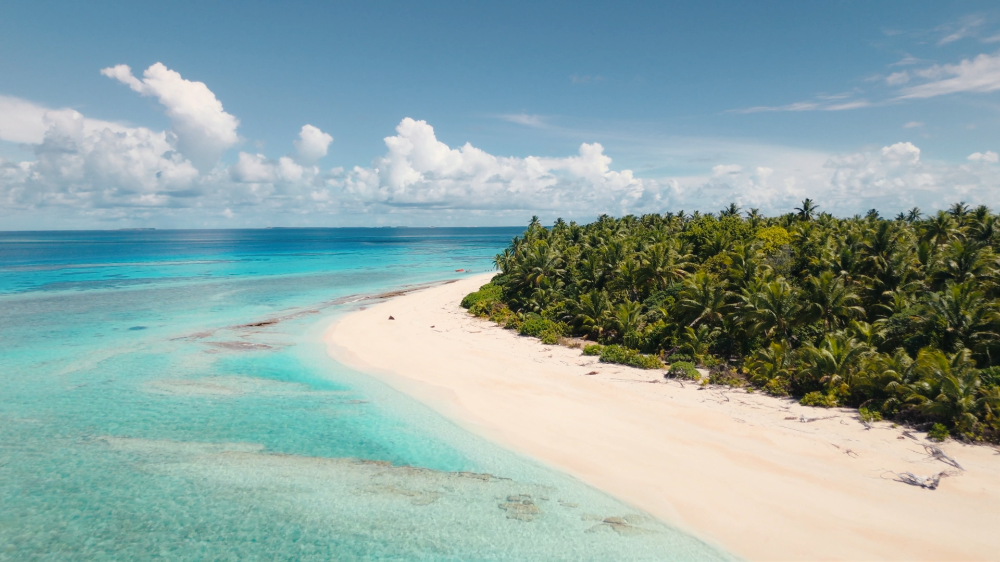佳果源椰子水溯源片｜不負(fù)天然：讓每一顆佳果都有源可溯！