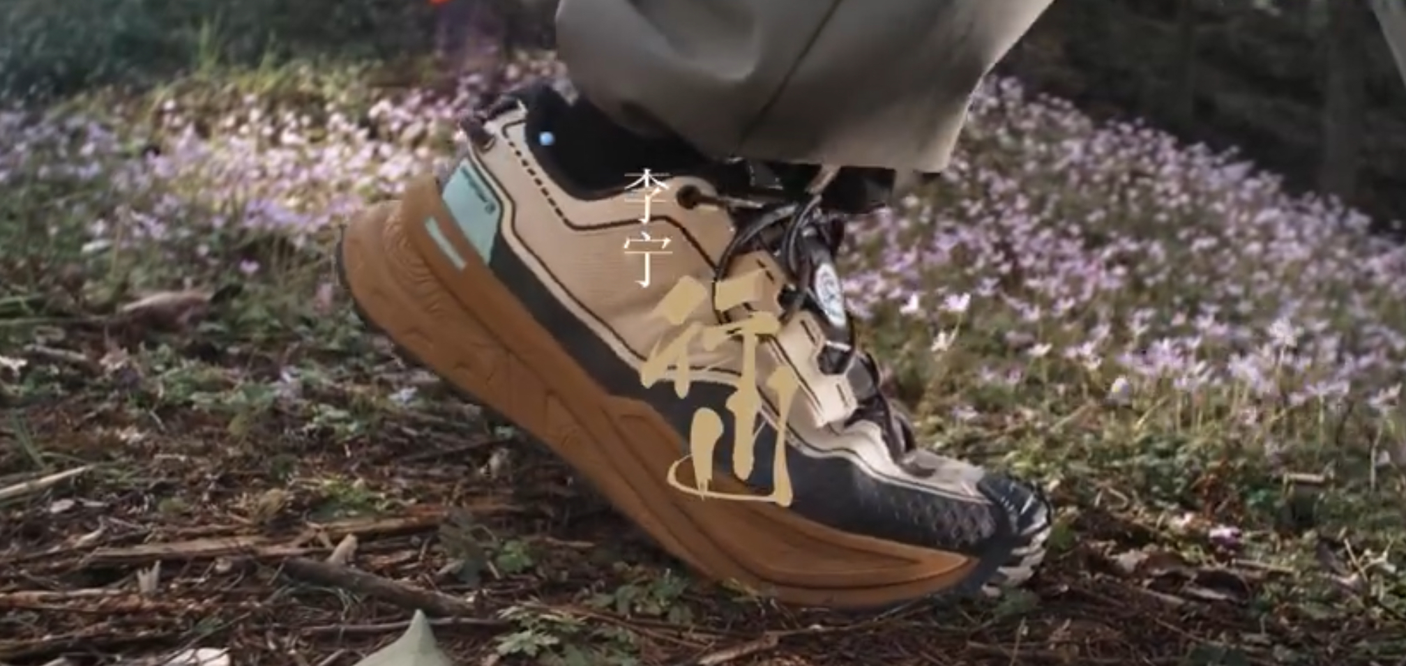 敢不敢，进山暴走4万步？