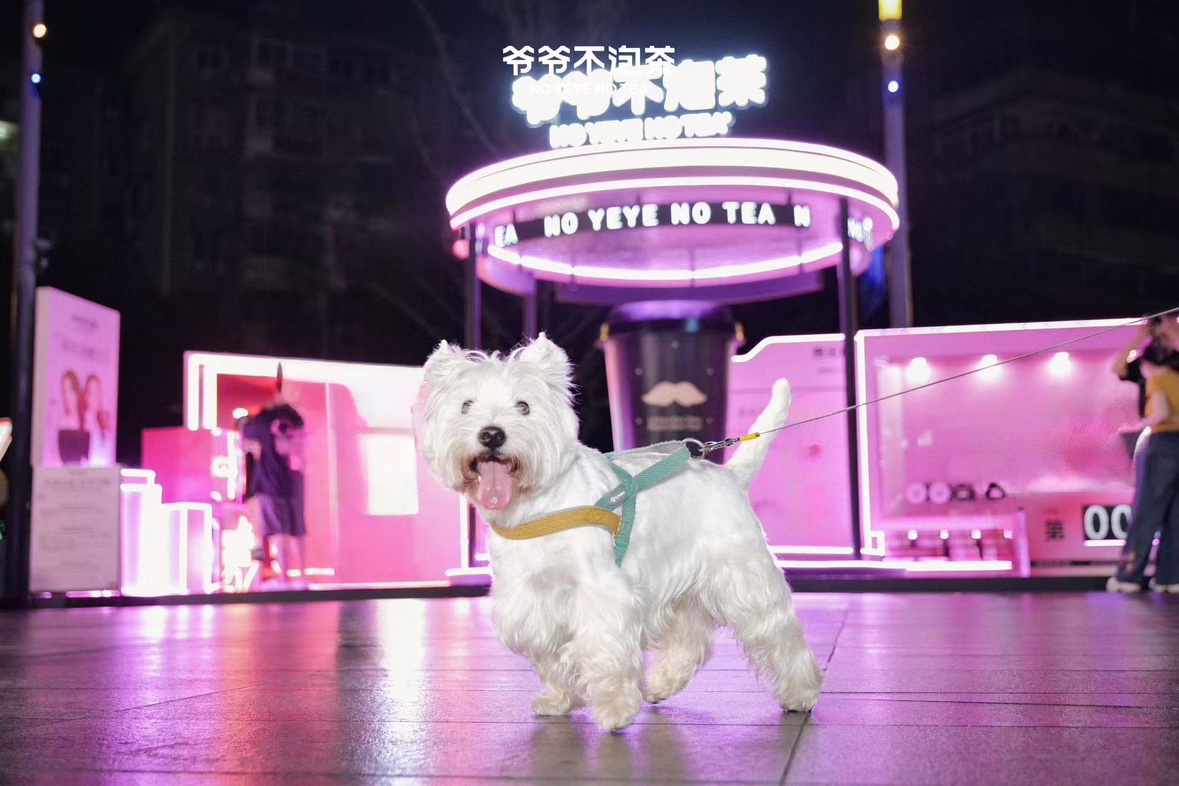 年轻人新型“情绪搭子”，卖爆了