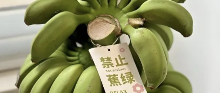 玄学消费为什么火？看清背后的“两高两低”