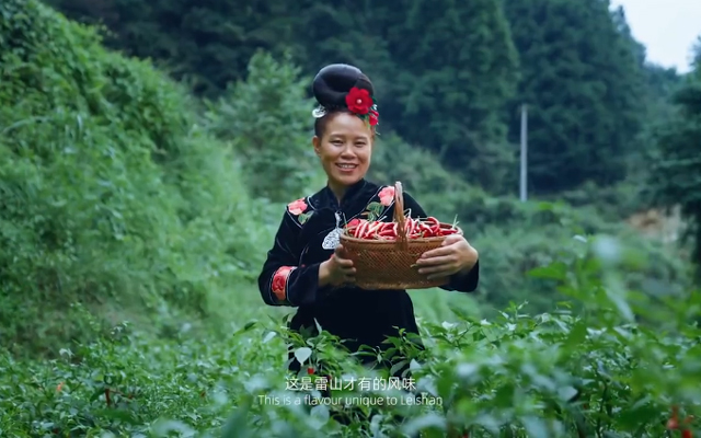 阿里公益×海底捞：寻味雷山，助力苗族美食走出大山