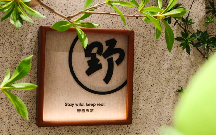 商场B1疯狂排队的冰淇淋,对话野人先生创始人