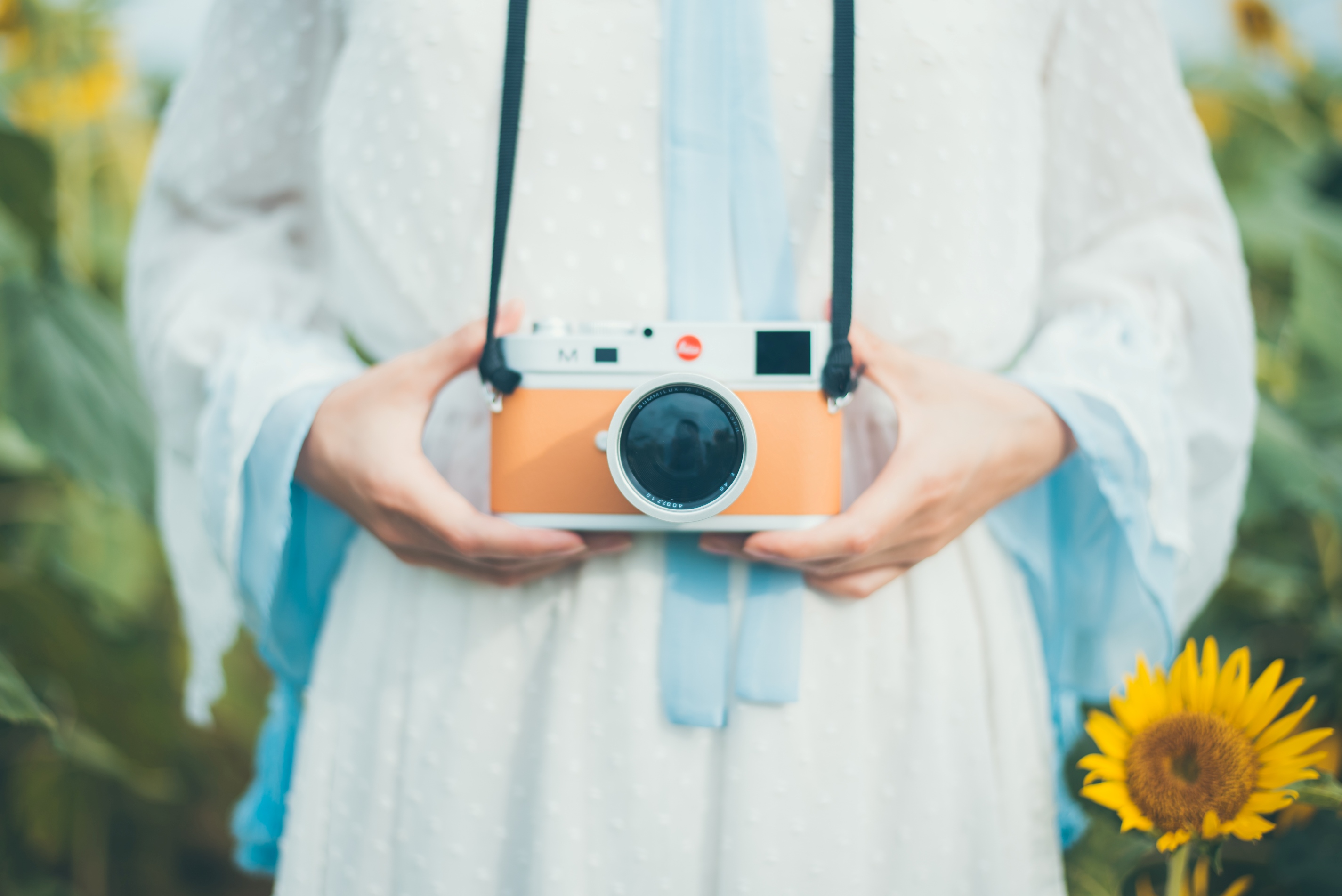 降价到199、299的旅拍店还能赚钱吗？