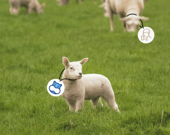 盒马的爆品源头，被扒出来了