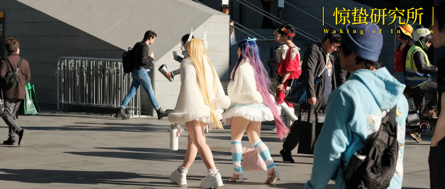 收割二次元，小红书准备好了吗？