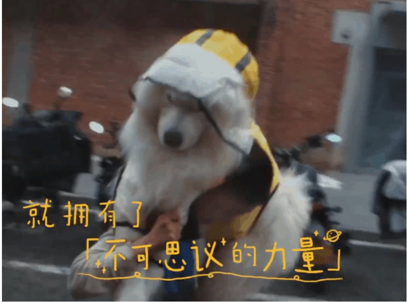 無限合作的“不設(shè)限”哲學(xué)