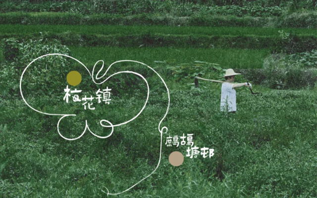 裘真×滕丛丛：在蝴蝶光临的小镇，记录乡村女工的一天