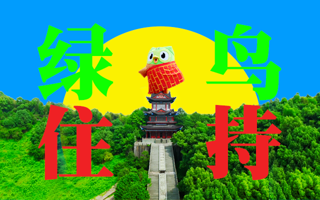 多儿进少林寺当住持，开启武术速成班