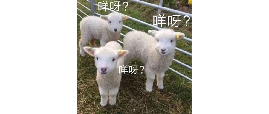 理想i8哪里来的胆子？