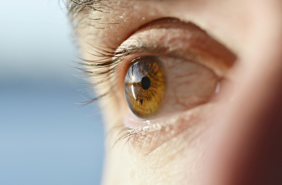 一邊是人工智能大會(huì)的高光，一邊是資本市場(chǎng)的低谷：鷹瞳怎么了？