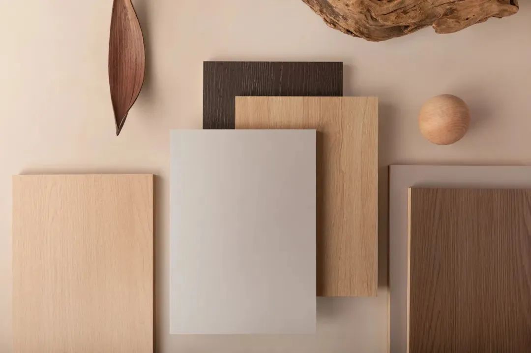 美好人居时代人物丨兔宝宝科技木吴云刚：科技造木，健康造家