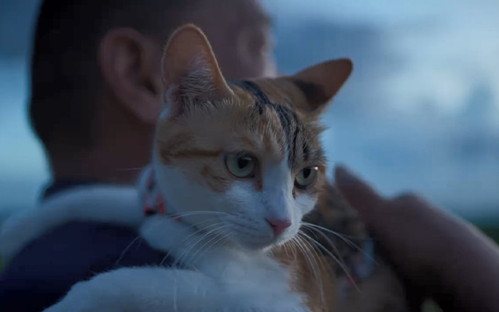 快手×麦芒×大冰：老司机，新“喵”途