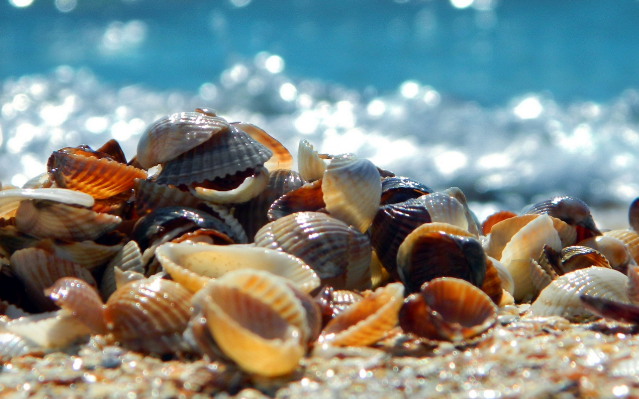 2025品牌营销策划：打造情绪价值的策略创意分享