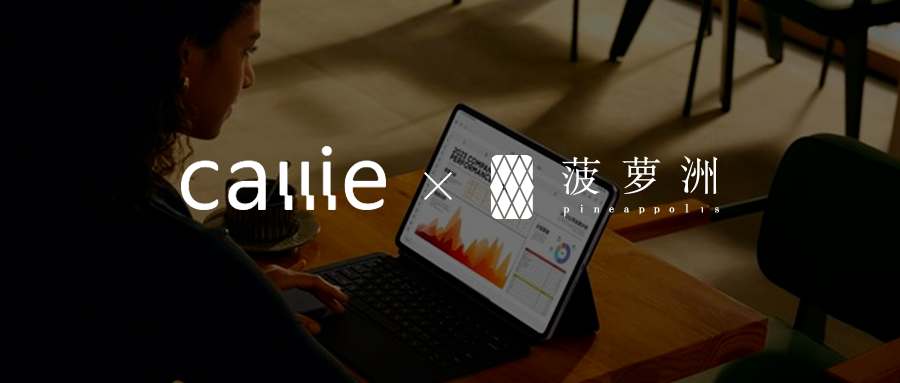 Callie借情感战略与BI体系，破局欧美礼品市场，完成品牌跃迁！