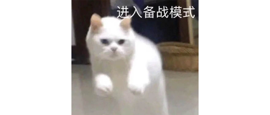 到底谁会买拉皮的特斯拉 Model Y L？