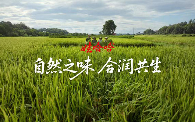 娃哈哈品牌升级，热搜之下的新故事