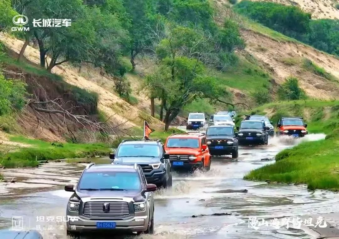 巨懂車101｜國補(bǔ)紅利+提效工具+?？瓦\營 看承德偉翔如何建立長效經(jīng)營護(hù)城河