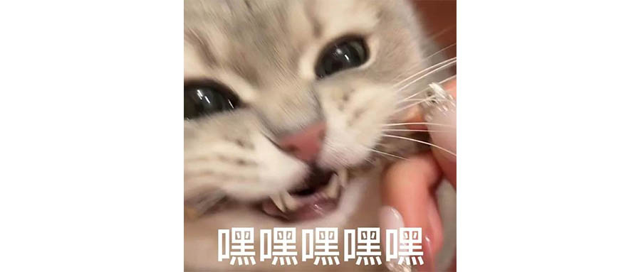 川老师快把英特尔弄成陀螺了