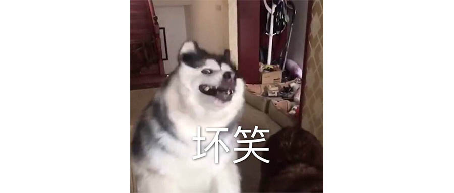 地球已经很难阻止比亚迪了