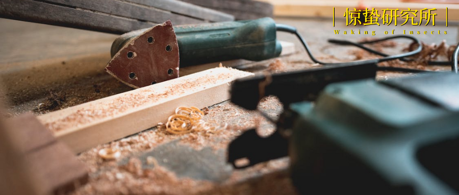 零工市场，拯救被嫌弃的“暑假工”？