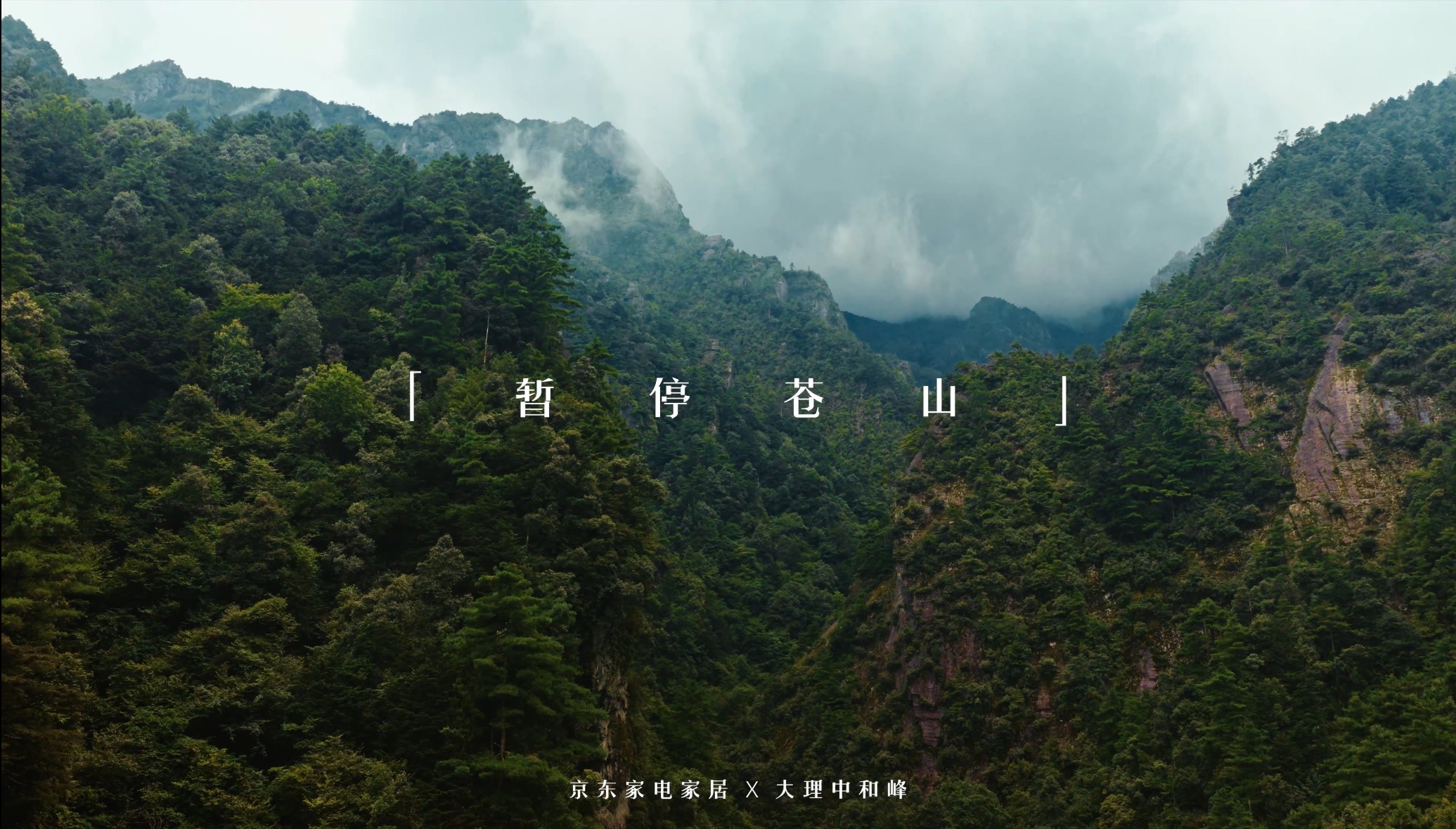 把家搬到苍山上，京东的新作又治愈了我